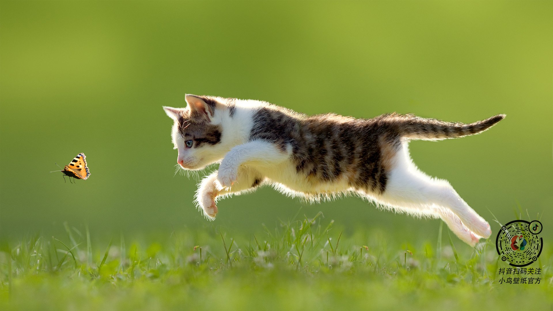 九游app下载中心-欧冠经典战役：那些令人热血沸腾的瞬间，欧冠经典之战