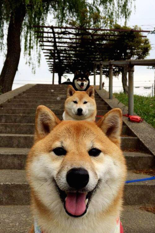 JIUYOU GAMING-职业球员健康保险覆盖率达到新高,职业球员的定义