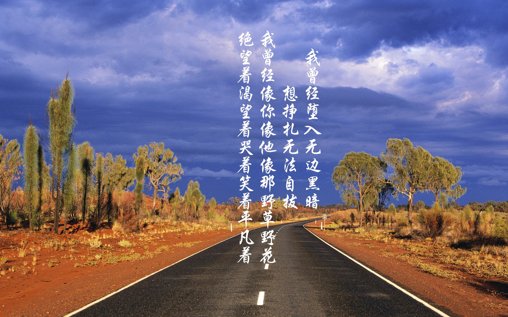 九游网页版官网-羽毛球国际公开赛决赛,国羽选手技压群雄夺冠,羽毛球国际大赛