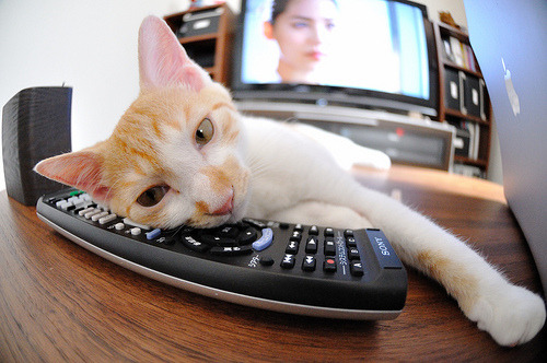 Jiu You-美国队在巴黎奥运会上表现出色，晋级四强，奥运 美国队入场