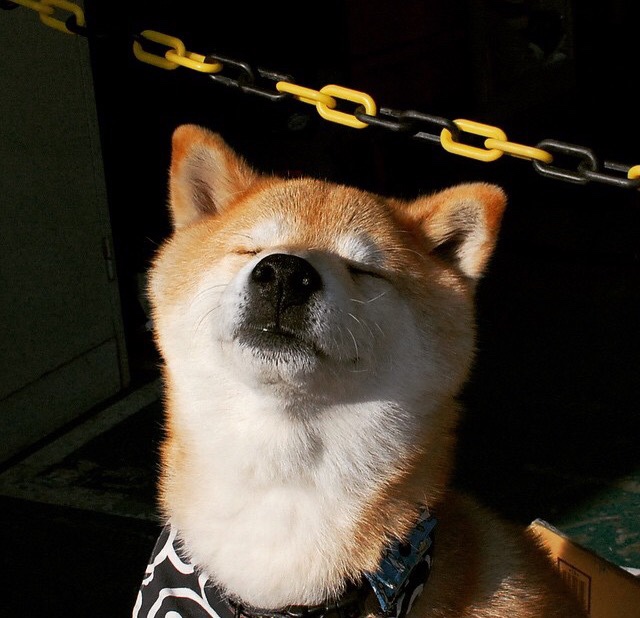 九游-西甲豪门新战略，稳扎稳打求胜利，豪门三强挥金如土,赚足流量的西甲联赛迎来新伙伴