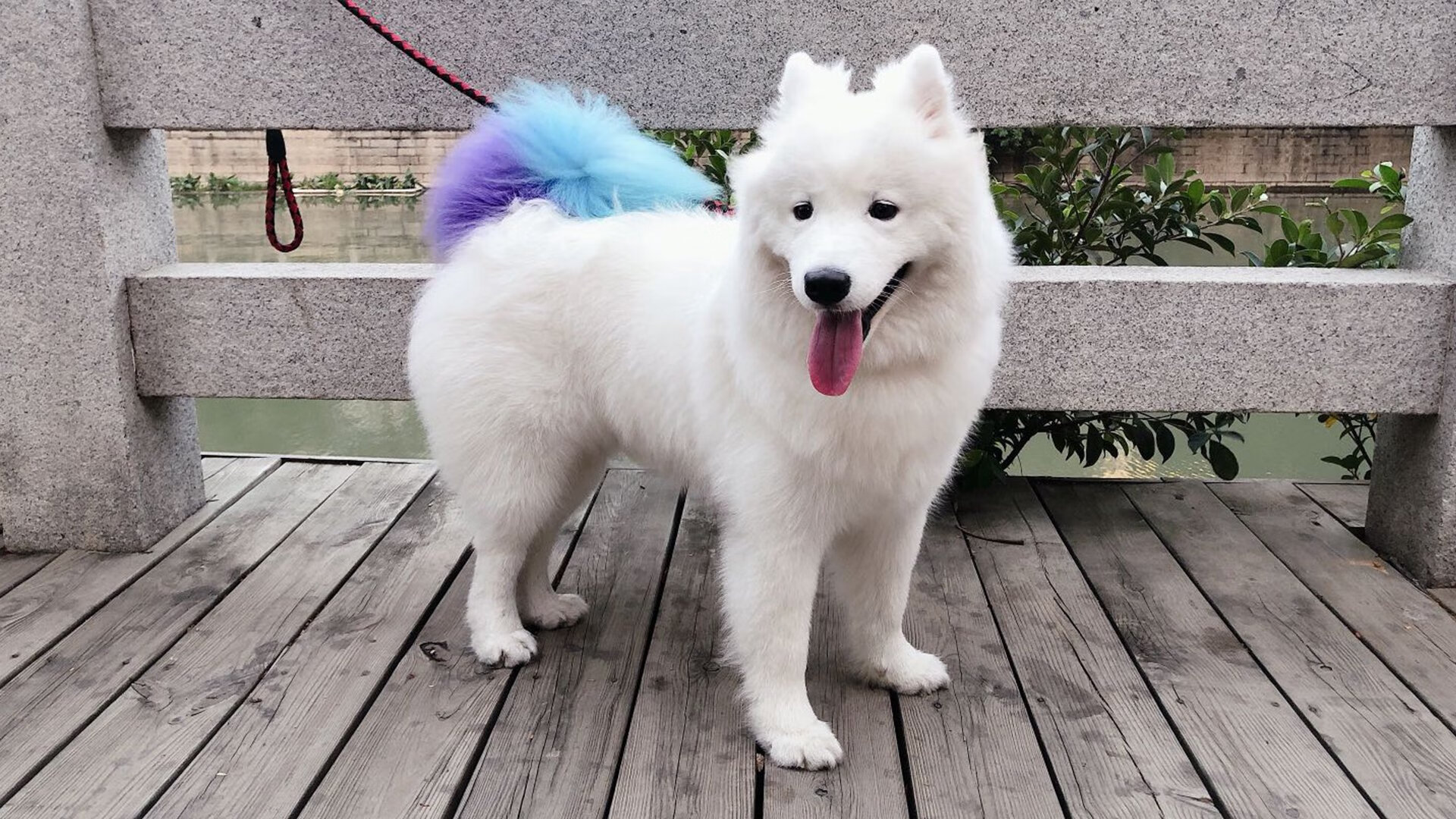 九游下载安装-赛后采访:李明感慨“团队合作让我们取得胜利”!