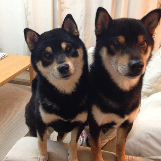 Jiuyou-马刺再创历史,球队迎来20年最佳开局,马刺队史冠军