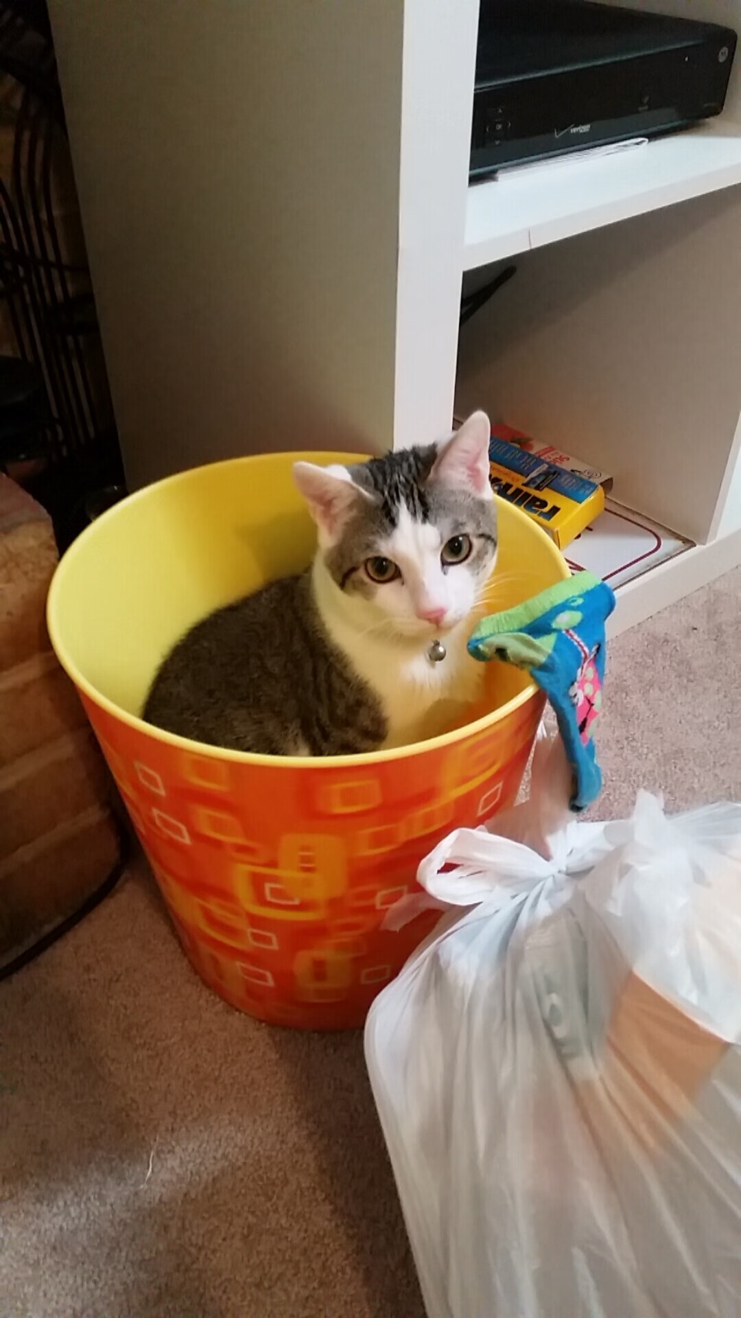 九游APP官网-青少年足球比赛直播平台覆盖全国，扩大青少年足球的社会影响力