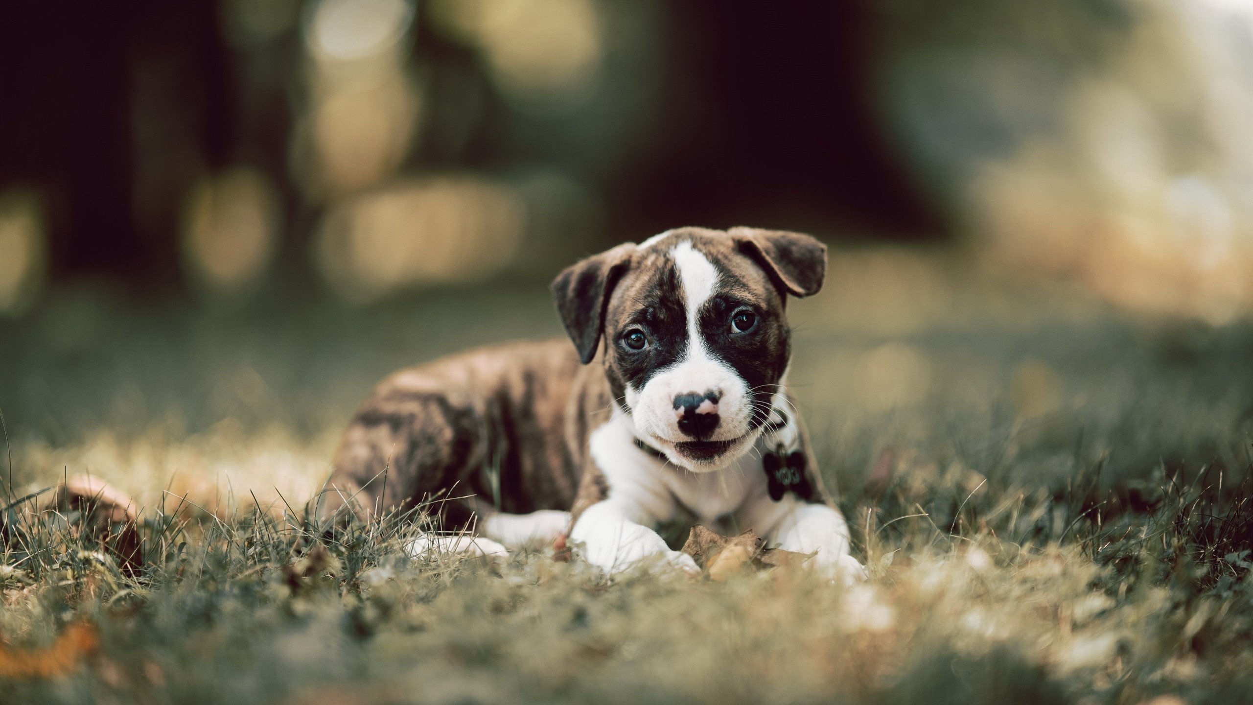 九游登录中心-FaZe电竞选手跨项挑战LOL引关注，电竞选手faker