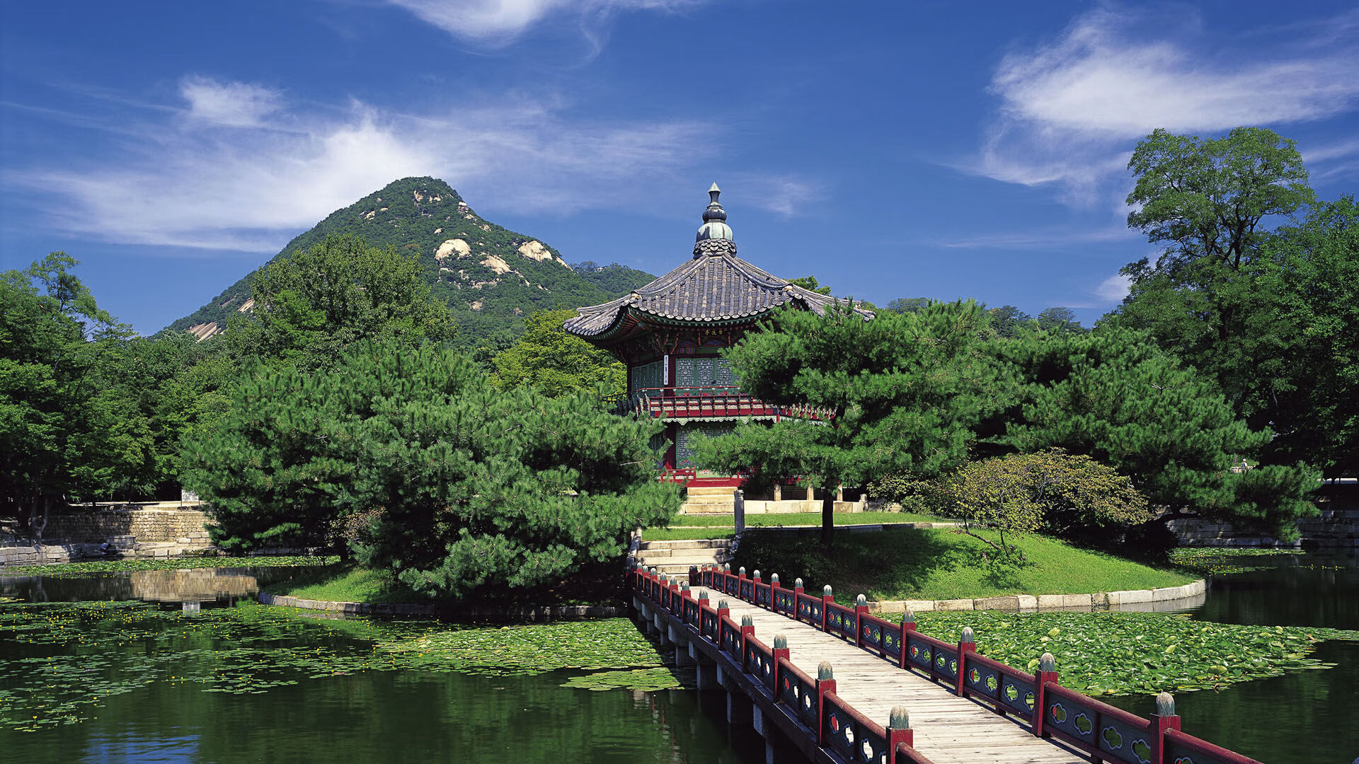 九游网页版入口-上海久事新签外援表现迅速适应,上海久事为什么能上两个外援