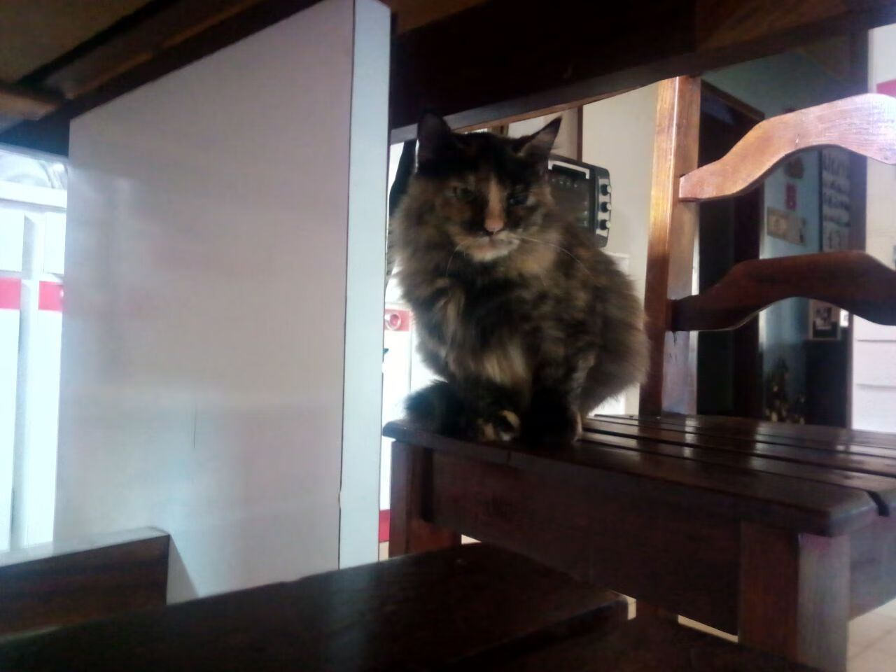 九游娱乐-火箭爆冷击败雄鹿中锋表现出色，火箭仅被雄鹿横扫