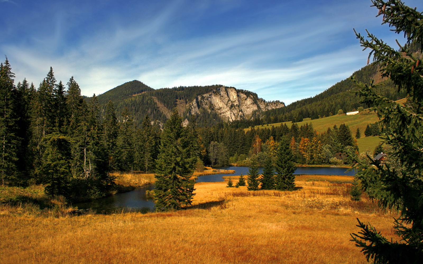 九游游戏中心-荷兰国家队备战友谊赛，冠军大热，荷兰队伍