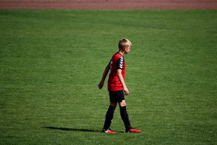 九游sports-世界拳击青年赛中国选手勇夺金腰带，世界拳击表演赛