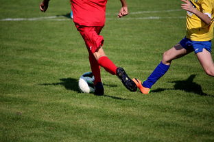 九游sports-世界拳击青年赛中国选手勇夺金腰带,世界拳击表演赛