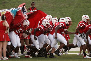 九游网页版入口-全国青少年登山赛贵州赛段精彩刺激,青年登山活动