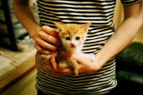 九游下载官网-意甲赛季中期伤病风险评估及预防策略探索,意甲技术统计