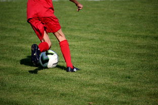 Jiu You-篮球运动员心理健康服务体系研究，篮球运动员心理健康服务体系研究论文