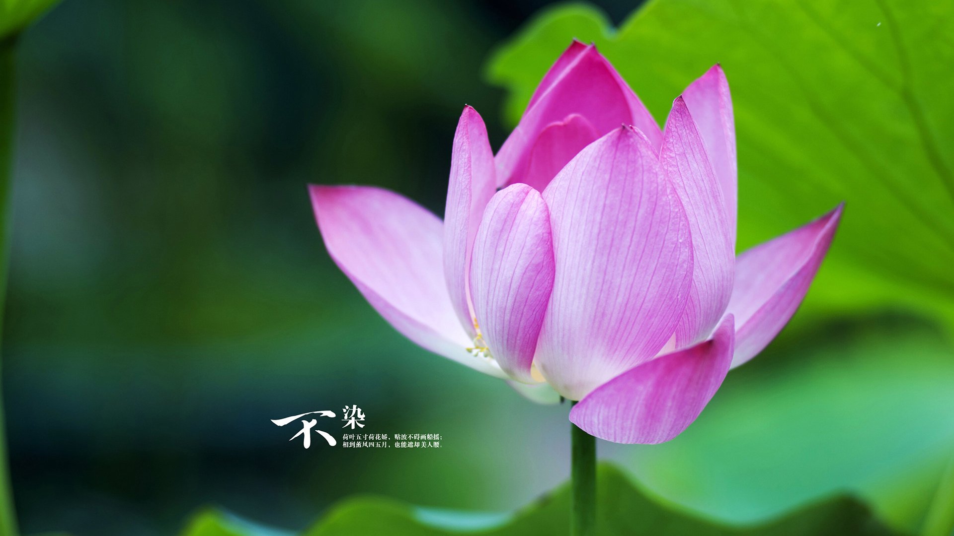 九游官网下载电脑版-篮球运动员专项技能标准化训练体系建立与实践,篮球职业球员训练计划