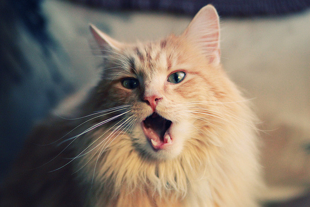 九游娱乐(jiuyou)官方网站-中国女篮打造快节奏防守反击核心战术,中国女篮战术分析