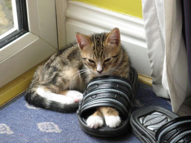 九游9游-五大联赛是否出现双中场核心互换持球节奏趋势，五大联赛中场休息多久