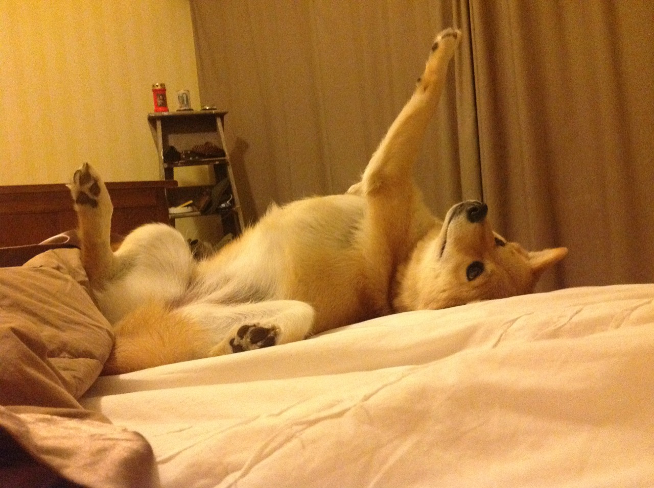 九游网页版官网-武术国际推广周吸引数十个国家参与，武术走向国际化