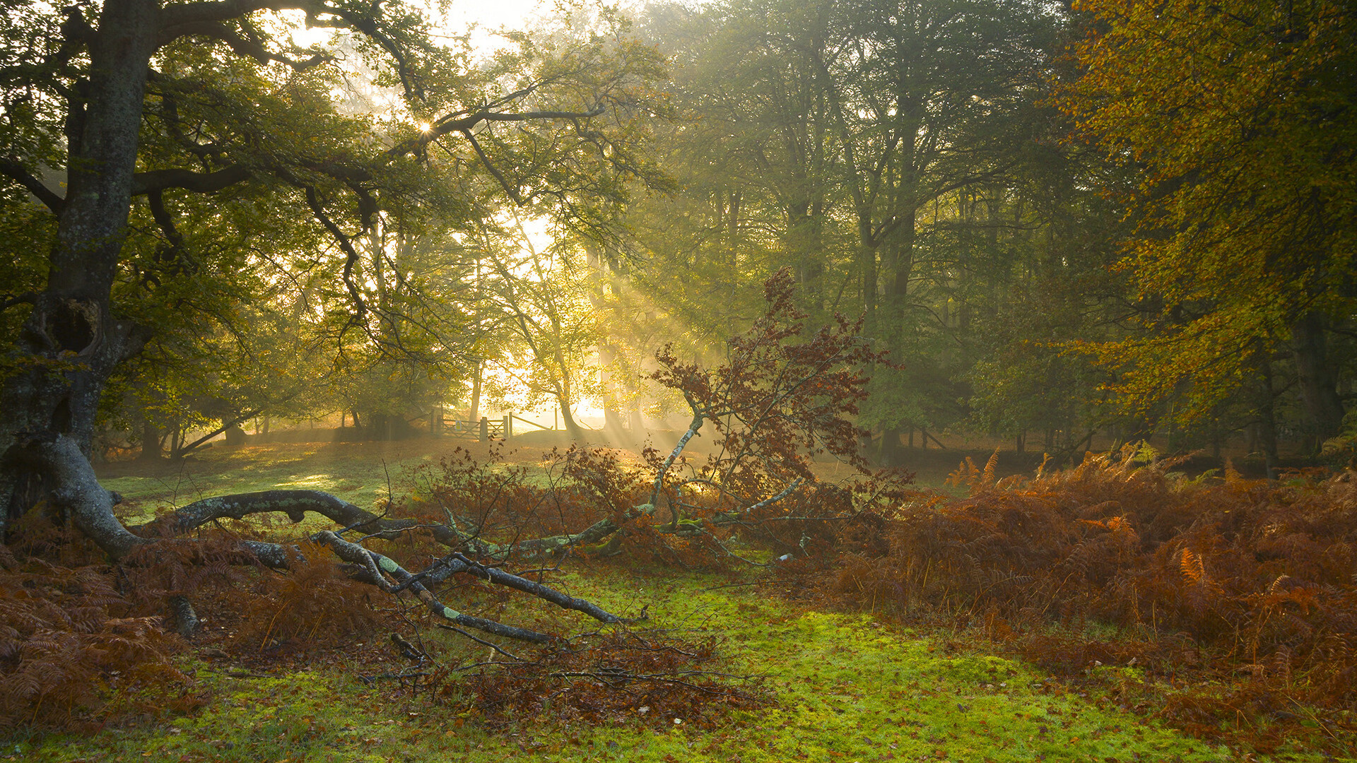 九游娱乐(jiuyou)官方网站-职业联赛竞争激烈度不足的问题，职业联赛比赛规则