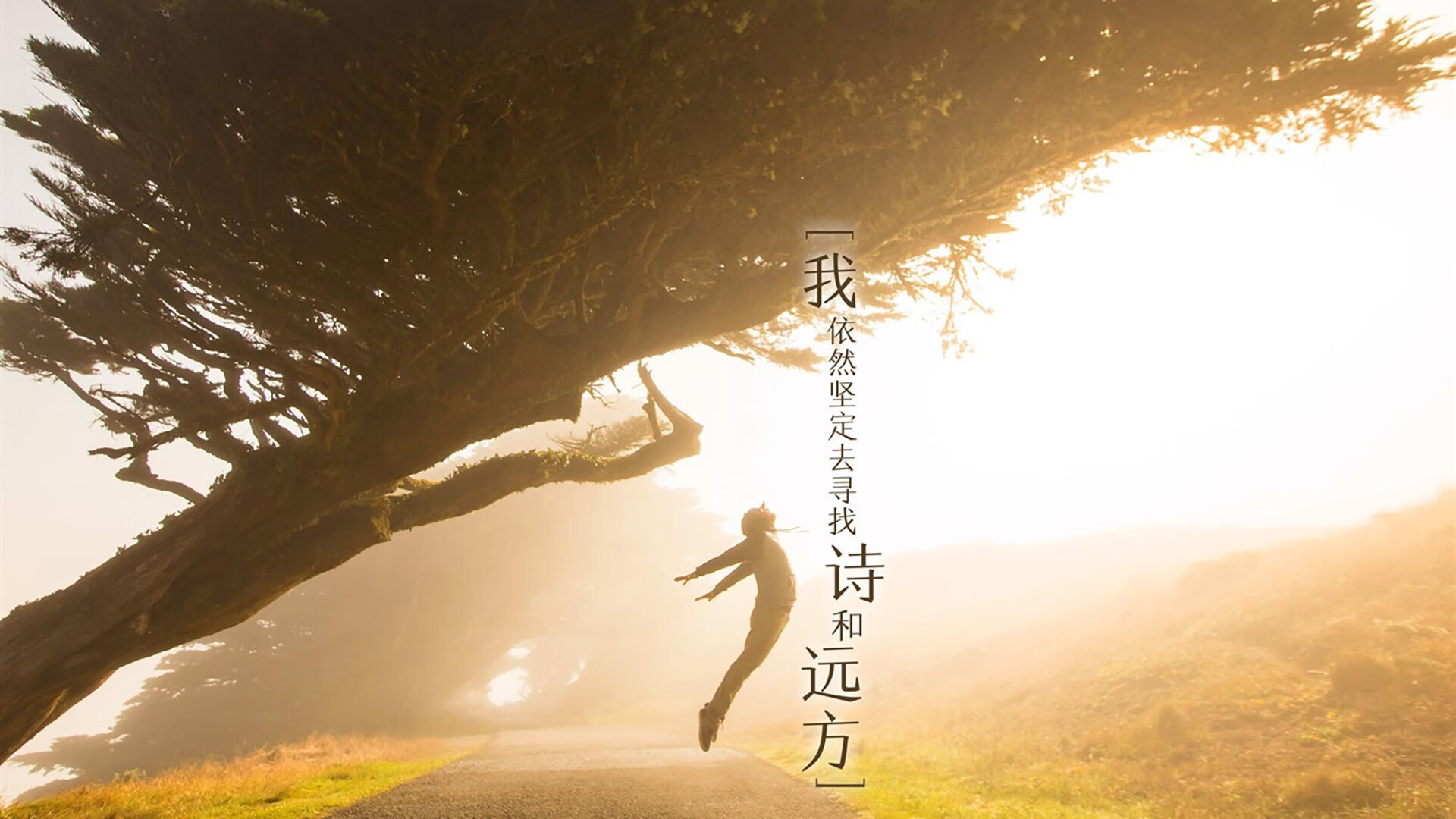 九游下载中心-辽宁飞豹调整阵容结构适应不同比赛节奏,辽宁飞豹队员集体照