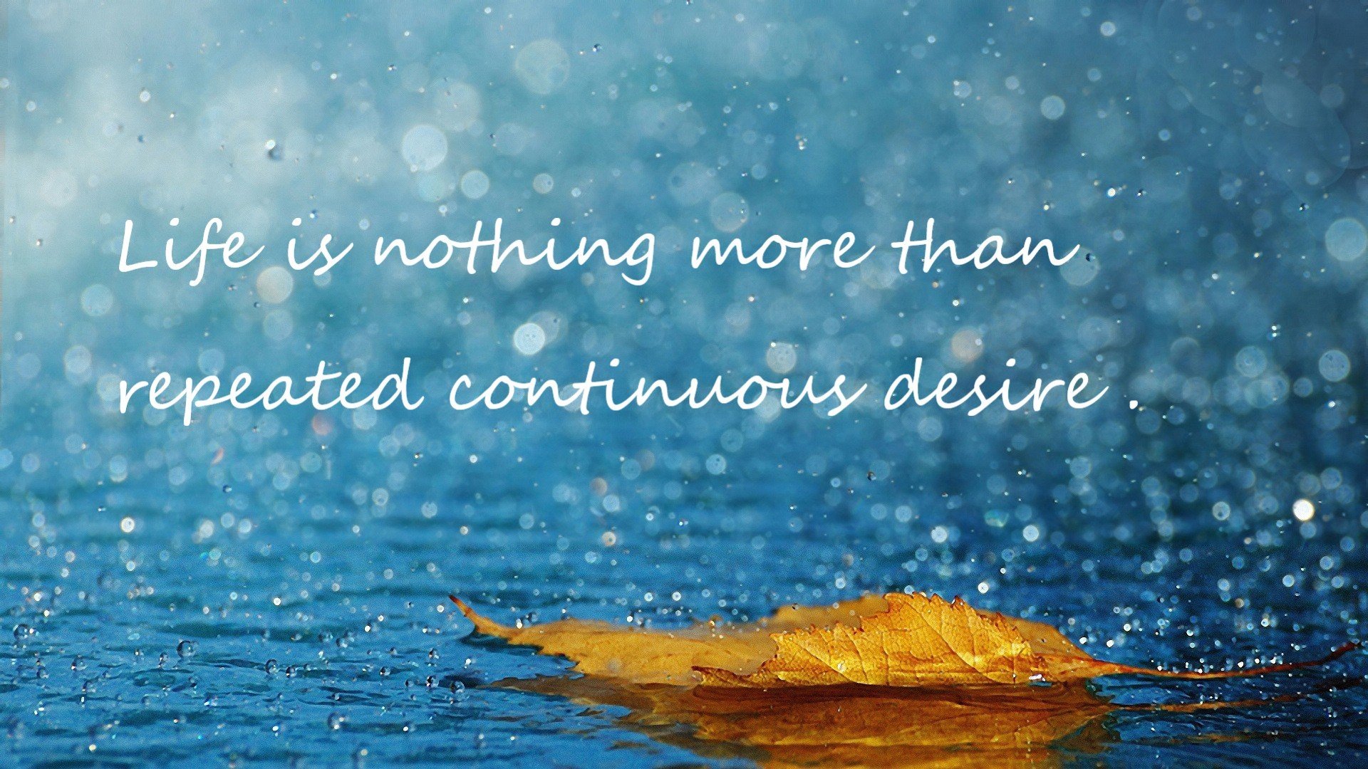 九游-法国队接力赛场风采尽显冠军潜质,法国队集锦