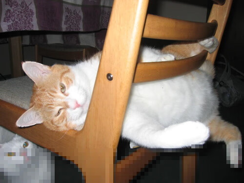 九游娱乐(jiuyou)官网-澳洲队冲刺阶段技压群雄,夺冠在望,澳洲篮球队