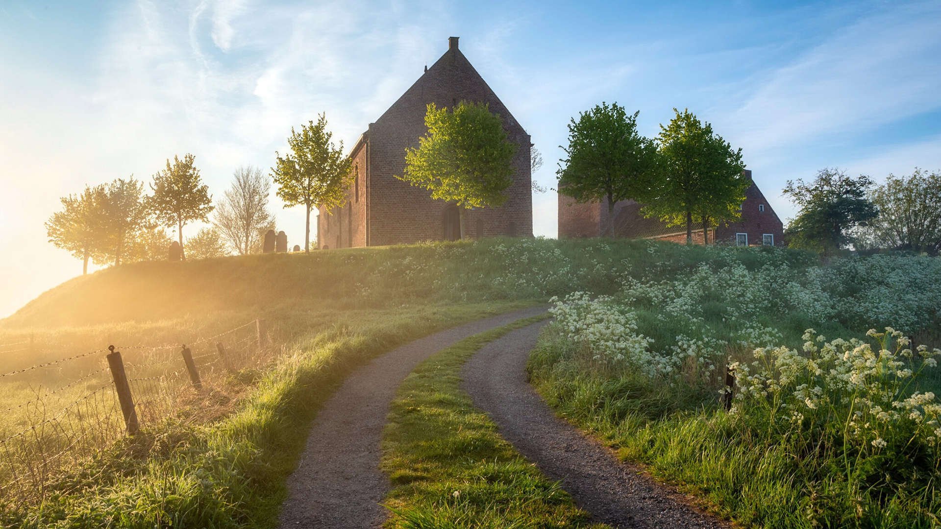 九游9游-爱尔兰女子橄榄球展现强大市场潜力，爱尔兰橄榄球队