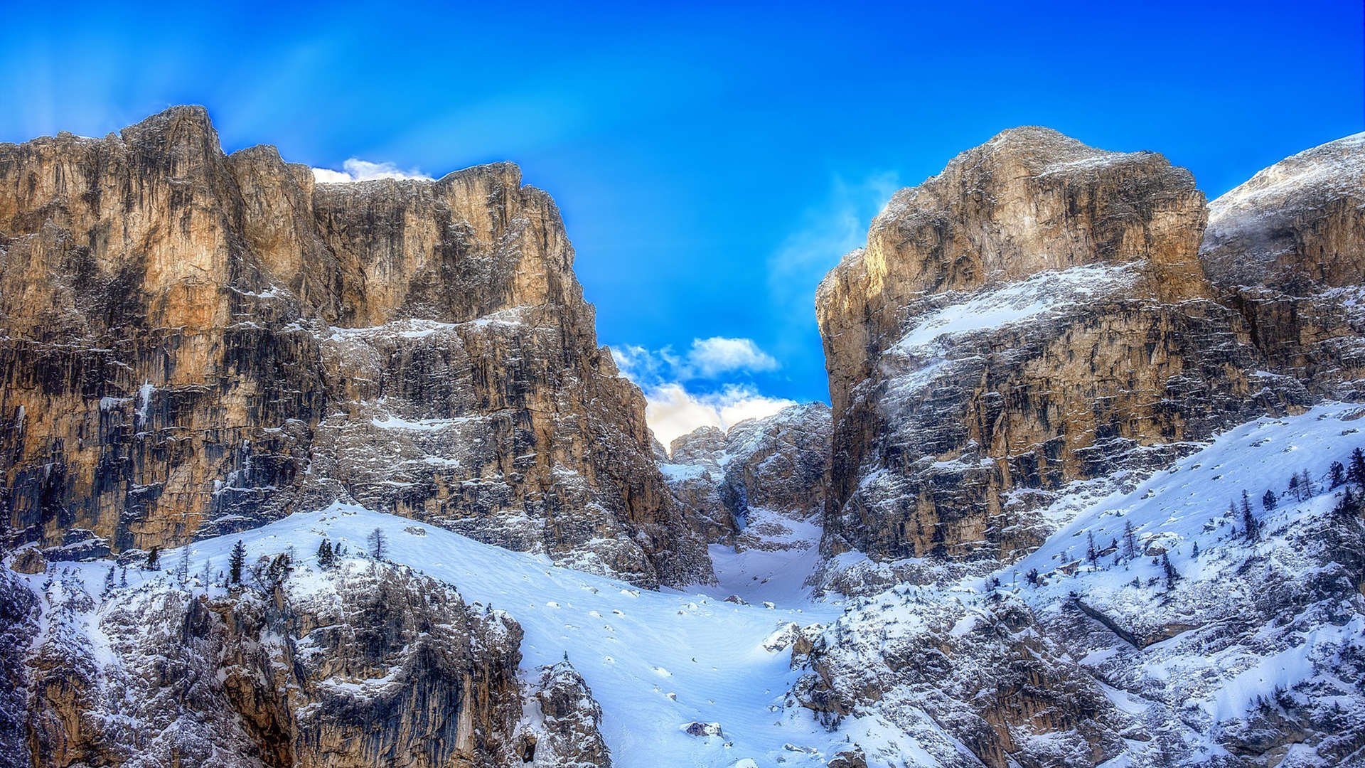 九游sports-美洲杯明星赛:技艺与勇气的精彩展现,美洲杯参赛名单