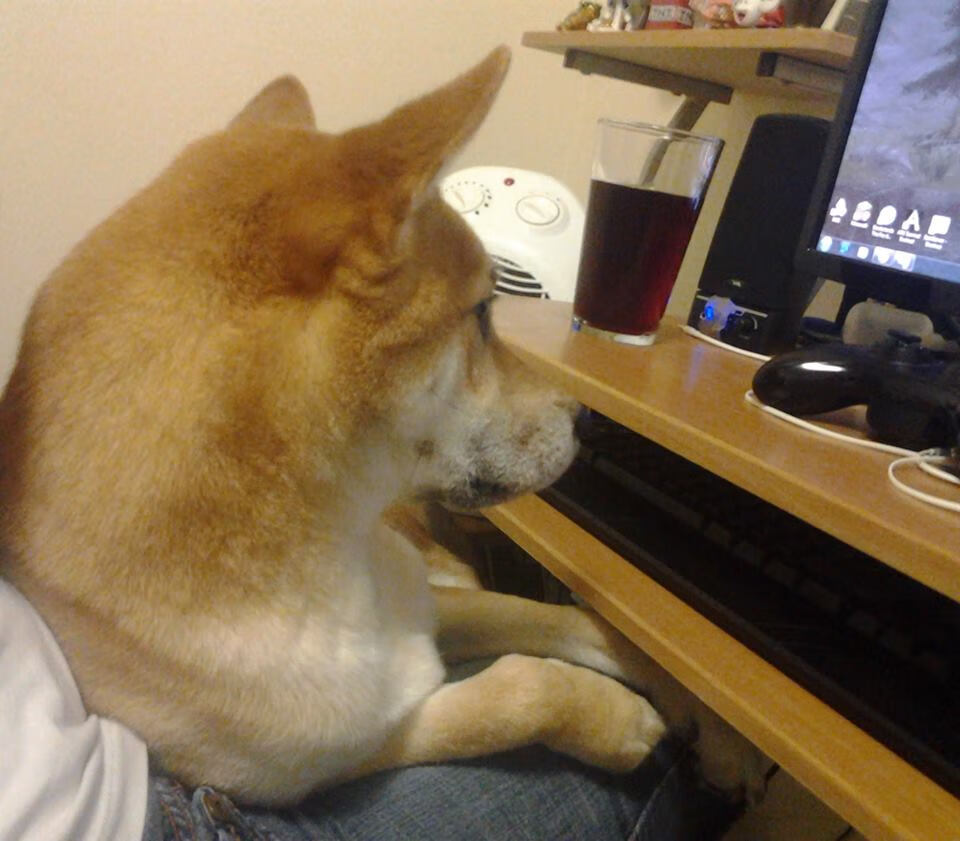 九游电脑版-联赛间互访达成合作协议，交流赛程常态化