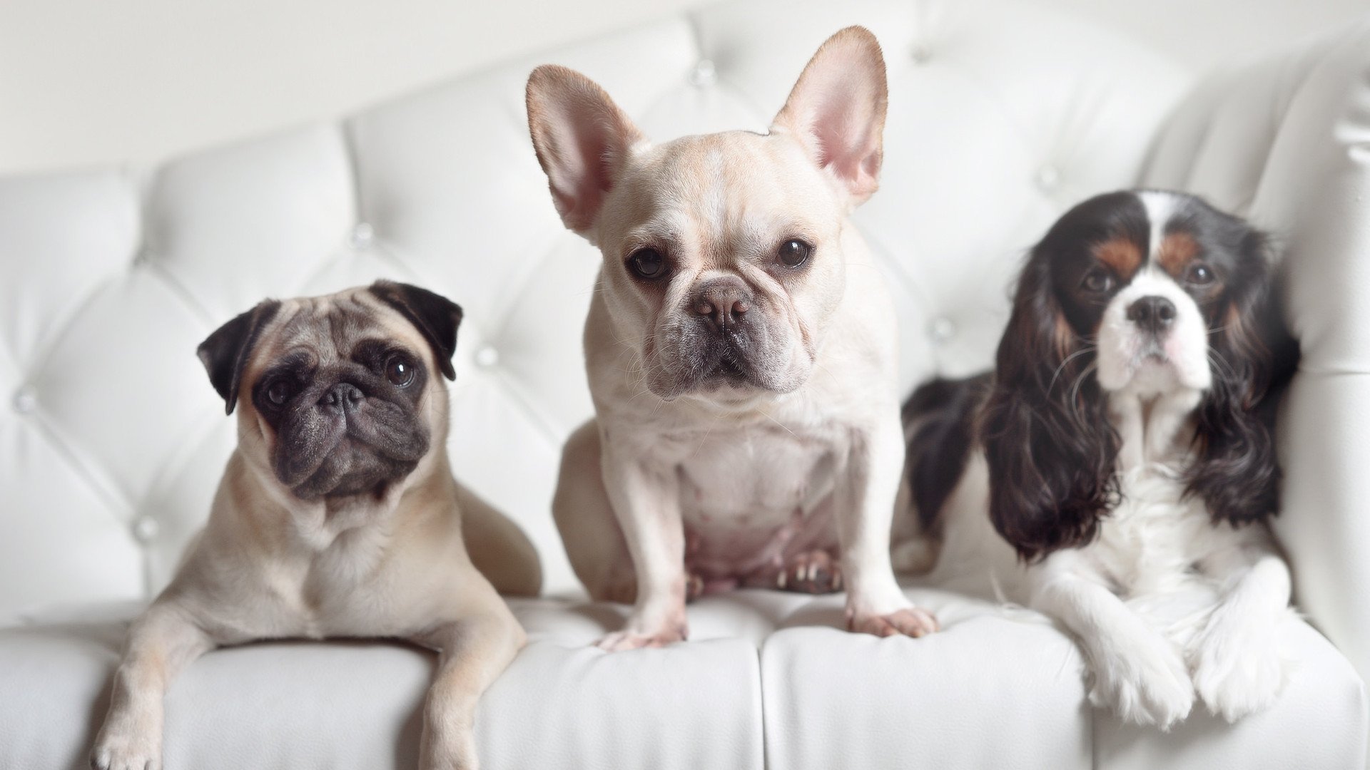 九游娱乐(jiuyou)官网-蛙泳对决荷兰选手节奏稳健,蛙泳比赛视频欣赏