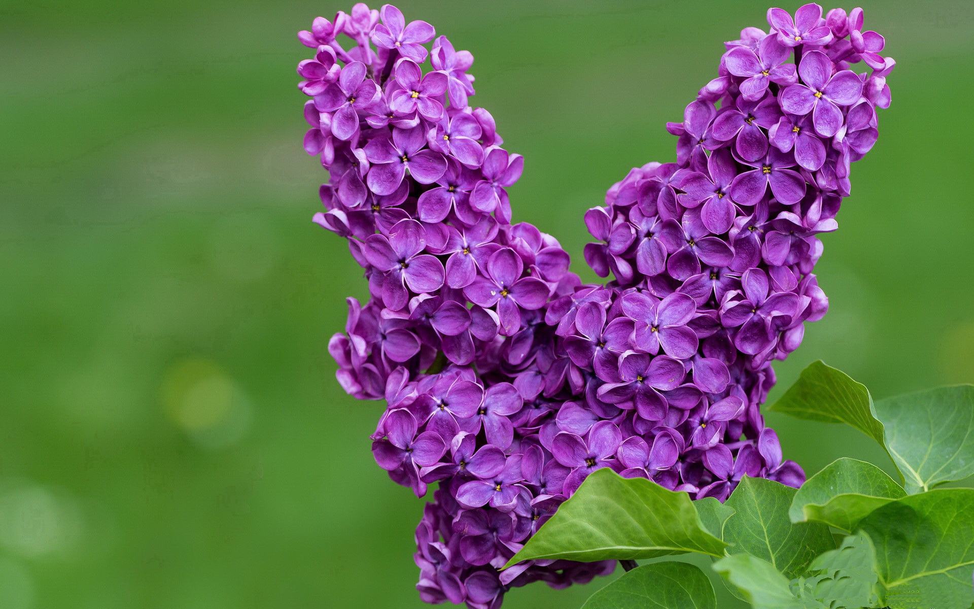 九游app下载中心-高空球争抢成为比赛焦点双方后卫对抗激烈防守强度十足,高空球是什么