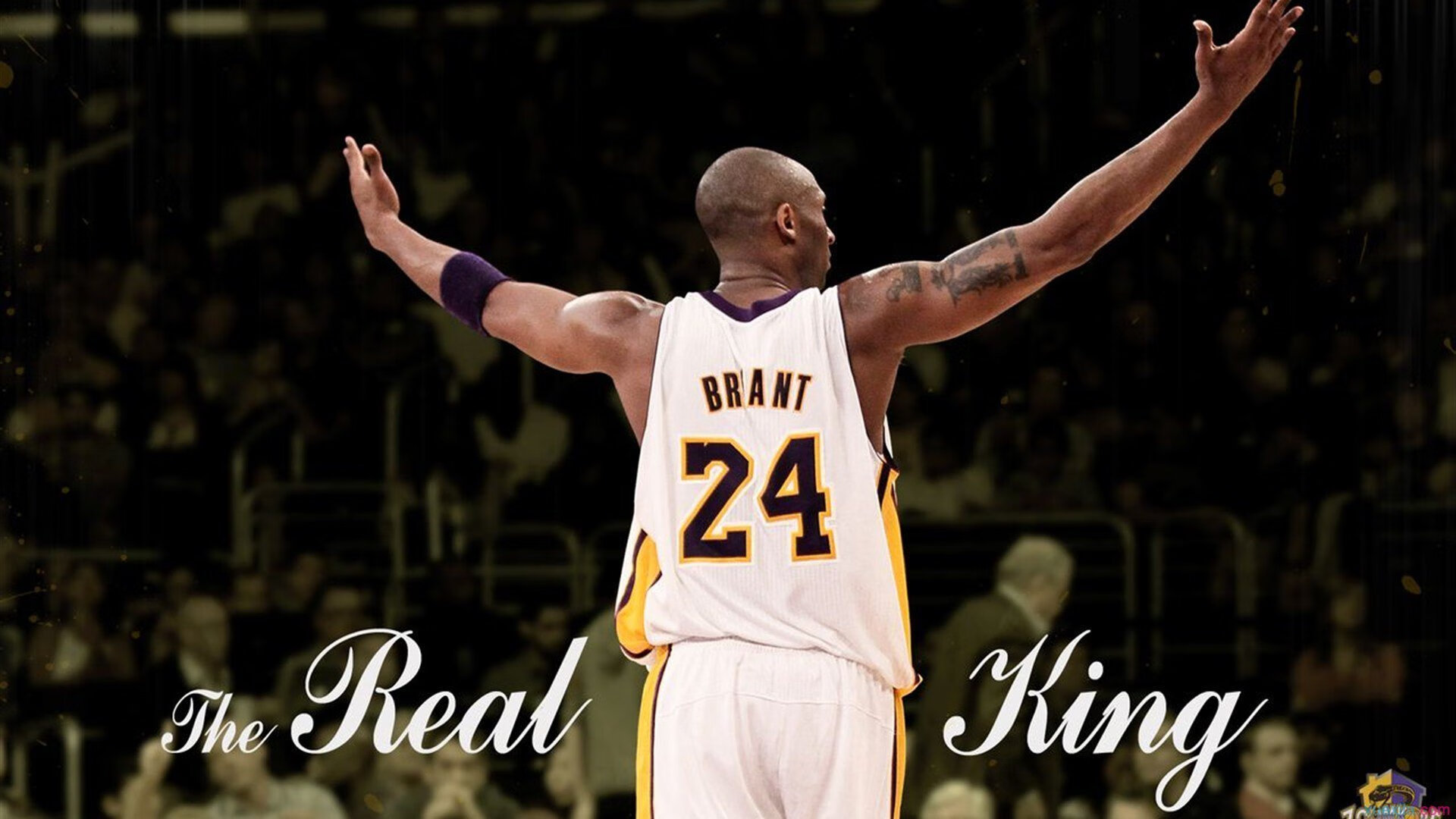 克罗地亚马术协会开展马匹福利宣传活动，提升公众意识。